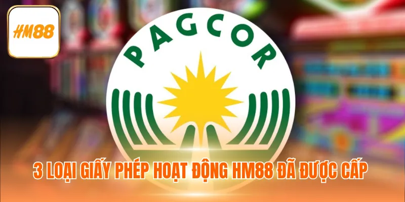3 loại giấy phép hoạt động HM88 đã được cấp