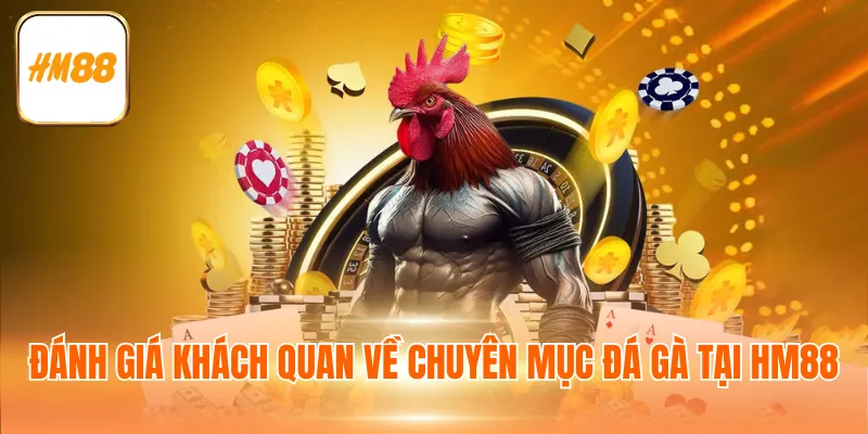 Đánh giá khách quan về chuyên mục đá gà tại HM88